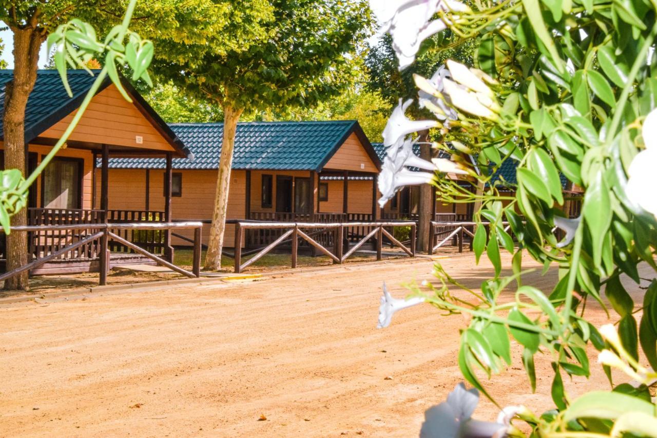 Camping La Aldea إل روثيو المظهر الخارجي الصورة